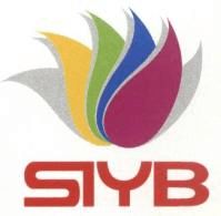 SYB创业计划书模版