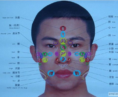 头全息图解大全图片