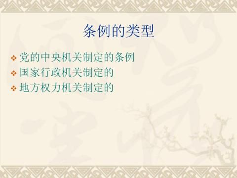 ����д��11�����涨