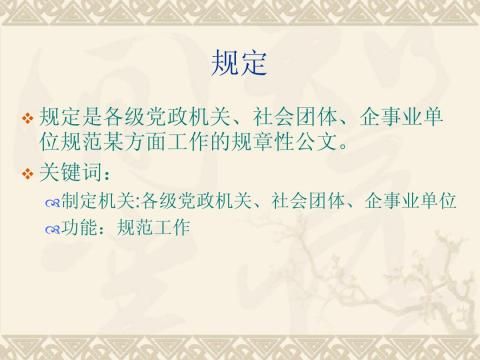 ����д��11�����涨