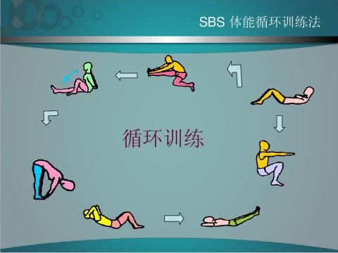 体能循环训练法