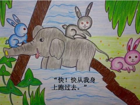 大象救小兔子图片图片